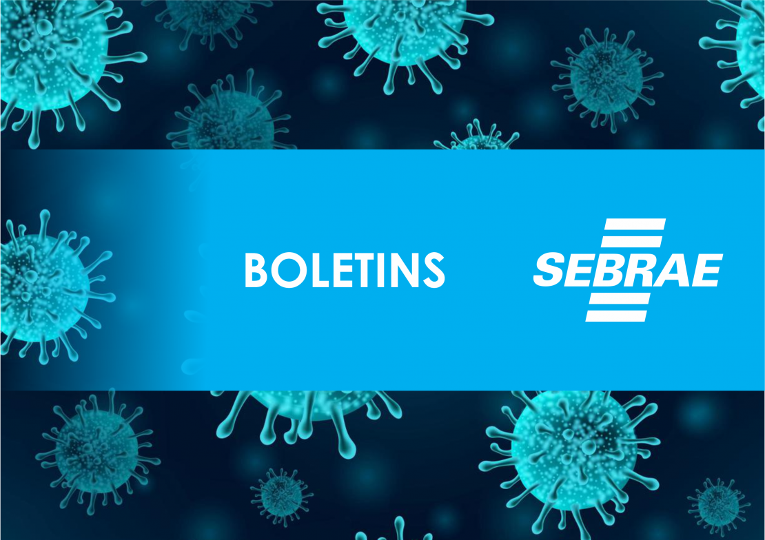 Boletim SEBRAE 017