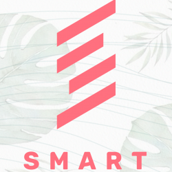 USE SMART